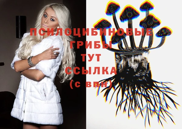 крисы Абинск