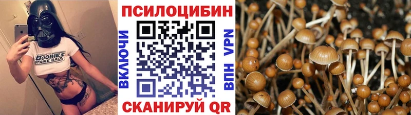 hydra ONION Киров Псилоцибиновые грибы Psilocybine cubensis