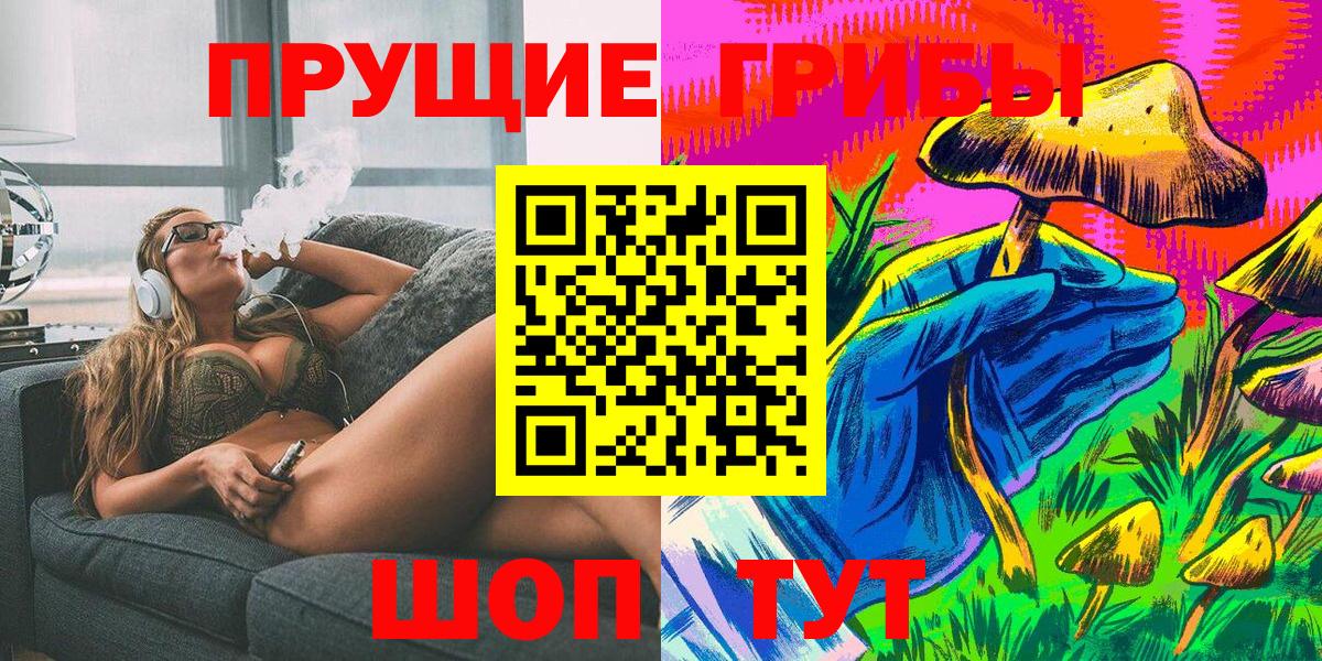 Киров  Галлюциногенные грибы Psilocybine cubensis  Вход с VPN 