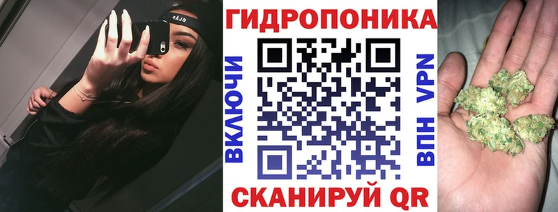 Бошки марихуана сатива  Киров 